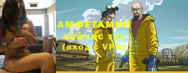 стафф Алзамай