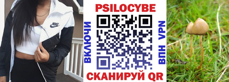 Псилоцибиновые грибы GOLDEN TEACHER Поронайск